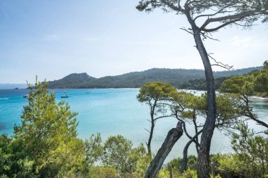 Porquerolles adasındaki dünyaca ünlü Notre Dame plajı (Plage Notre-Dame) (l 'le de Porquerolles), Fransa