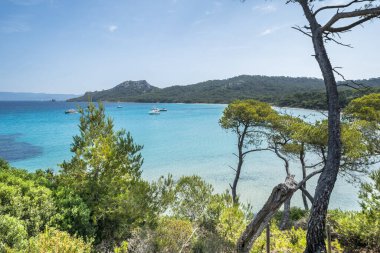 Porquerolles adasındaki dünyaca ünlü Notre Dame plajı (Plage Notre-Dame) (l 'le de Porquerolles), Fransa