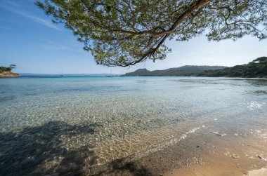 Porquerolles adasındaki dünyaca ünlü Notre Dame plajı (Plage Notre-Dame) (l 'le de Porquerolles), Fransa
