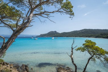 Porquerolles adasındaki dünyaca ünlü Notre Dame plajı (Plage Notre-Dame) (l 'le de Porquerolles), Fransa