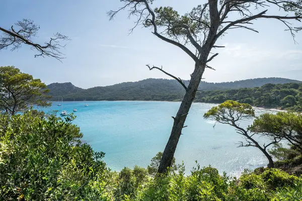 Porquerolles adasındaki dünyaca ünlü Notre Dame plajı (Plage Notre-Dame) (l 'le de Porquerolles), Fransa