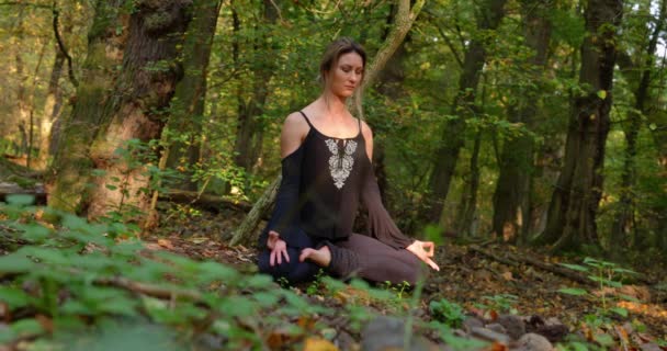 Beautiful Young Woman Meditating Forest Close — Stock Video