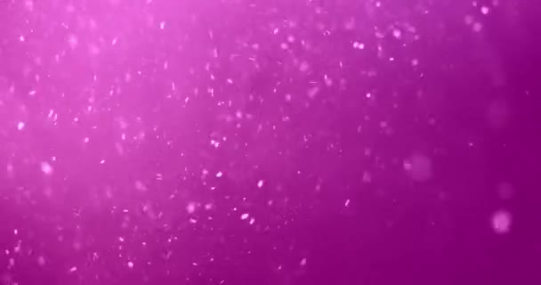 Prise Vue Vraies Particules Poussière Flottant Dans Air Violet — Video