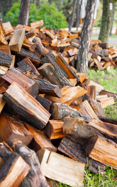 Großer Haufen Brennholz Zum Verbrennen Großaufnahme — Stockfoto