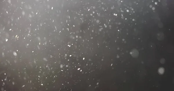 Выстрел Настоящих Пылевых Частиц Плавающих Воздухе Черном — стоковое фото