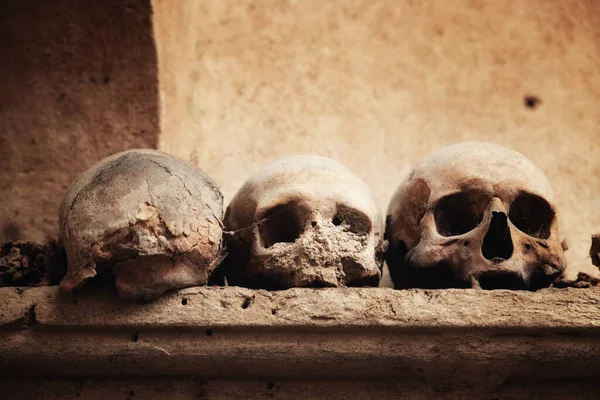 Vieux Crânes Dans Les Catacombes Gros Plan — Photo