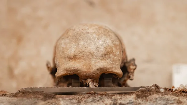カタコンベの古い頭蓋骨が近くに — ストック写真