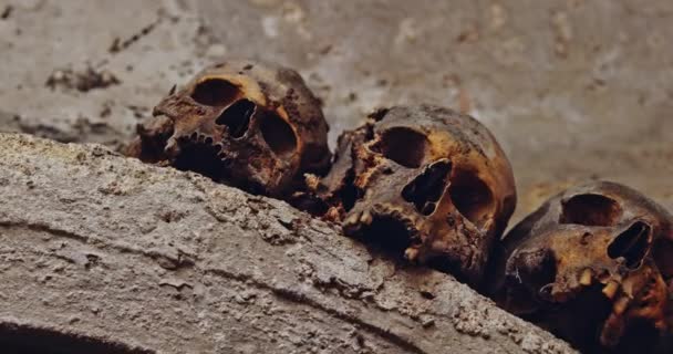 Oude Schedels Catacomben Sluiten — Stockvideo