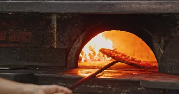 Pizza Sortant Four Gros Plan — Video