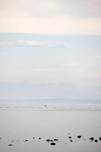 Misty Sea Landscape British Columbia Coast Closeup Imagen De Stock