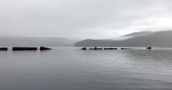 Sakin Liman Sularında Süzülen Paslı Tanklar Yaklaş Stok Resim