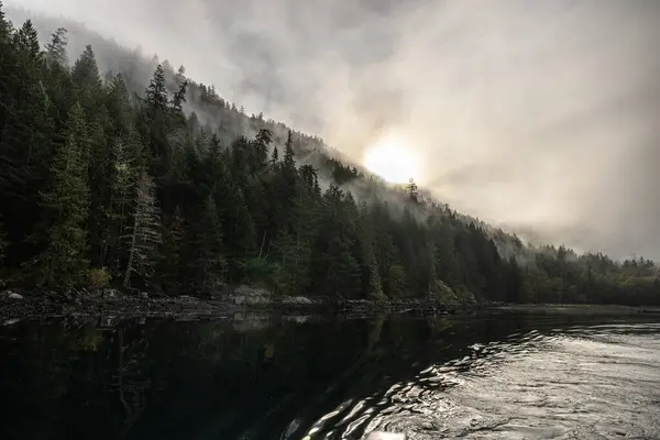 Misty Δάσος Απρόσκλητη Ηλιακό Φως Πάνω Από Φόντο Της Θάλασσας Royalty Free Εικόνες Αρχείου