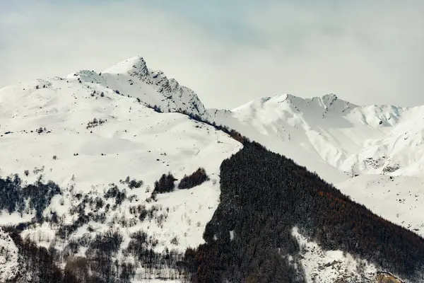 Montañas Cubiertas Nieve Con Densos Bosques Picos Desde Arriba Fotos De Stock Sin Royalties Gratis
