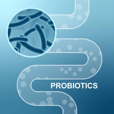 Digestive system and probiotics. EPS10 vector