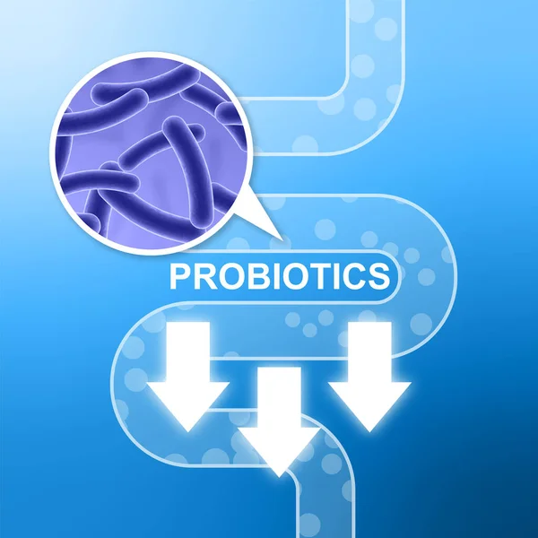 Digestive System Probiotics Eps10 Vector —  Vetores de Stock