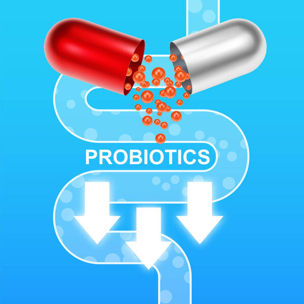 Шаблон баннера пробиотиков. Пробиотик в капсуле с пищеварительной системой. Микробиомные элементы с лекарственными таблетками. Половина с гранулами пробиотиков. Вектор EPS10