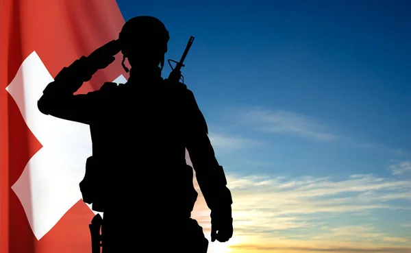Gökyüzünde Sviçre Bayrağı Olan Bir Askerin Silueti Eps10 Vektörü — Stok Vektör