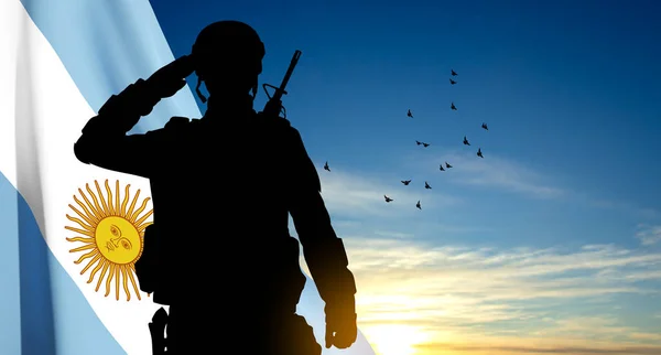 一个举着阿根廷国旗在天空中敬礼的士兵的肖像 Eps10病媒 — 图库矢量图片