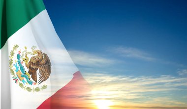 Meksika bayrağı gökyüzünün arka planında. EPS10 vektörü