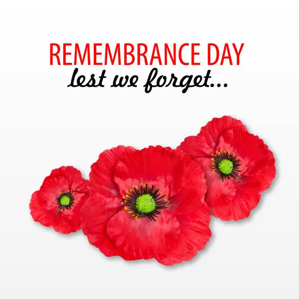 The remembrance poppy. Poppy Day background. Remembrance Day - Lest We Forget
