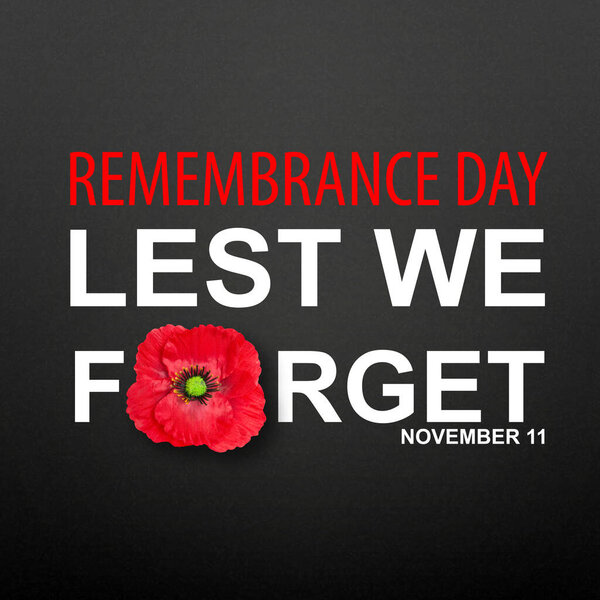 The remembrance poppy. Poppy Day background. Remembrance Day - Lest We Forget