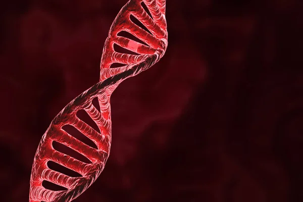 DNA molecule structure on red background. 3d-rendering