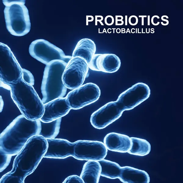 Probiyotik Lactobacillus acidophilus. İnsan mikrobiyomu arka planı. 3d oluşturma