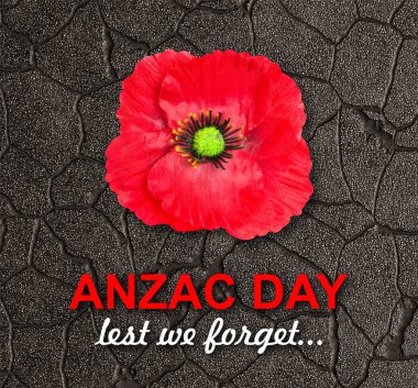 Kırık gri duvardaki haşhaş çiçeği. Anma günü. Unutmayalım diye. Anzak günü. 3d oluşturma