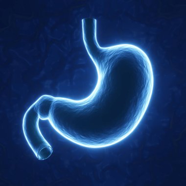 Mavi arka planda neon ışığı insan midesi. 3d oluşturma