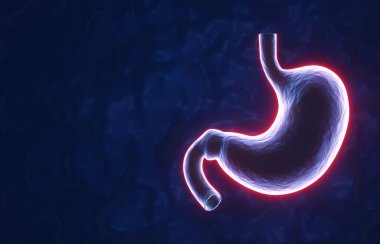 Mavi arka planda neon ışığı insan midesi. İnsan mide ağrısı konsepti. 3d oluşturma