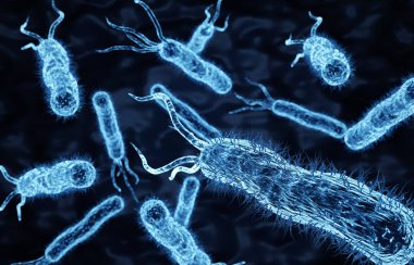 Escherichia Coli bakteri hücresi. 3d oluşturma