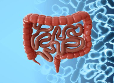 Probiyotikleri olan insan bağırsakları. İnsan mikrobiyomu probiyotikleri. 3d oluşturma