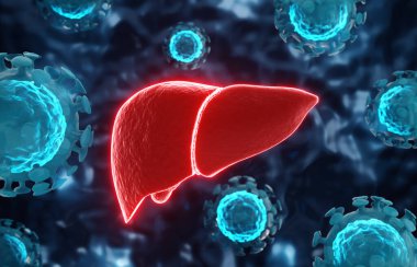 Hepatit virüslü insan karaciğeri ve kan hücreleri. 3d oluşturma