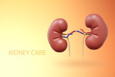 Parlak arka planda insan böbreği. Böbrek bakımı. 3d oluşturma