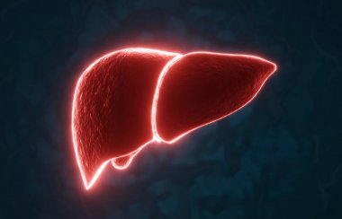 Mavi arka planda parlayan kırmızı insan karaciğeri. Röntgen hologramı. Tıbbi afiş ve afiş için karaciğer. 3d oluşturma