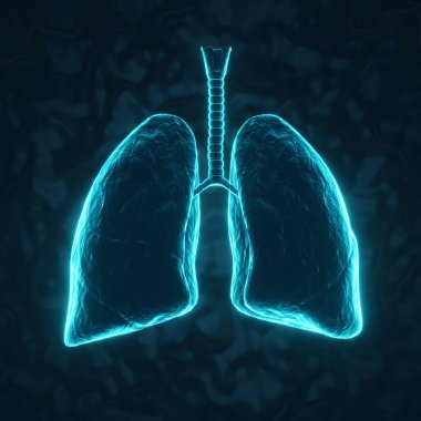 Mavi arka planda parlayan insan ciğerleri. Röntgen hologramı. 3d oluşturma