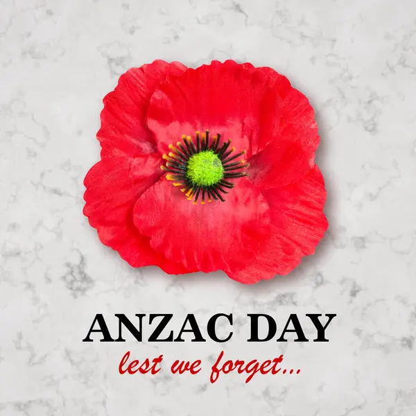 Taş zeminde haşhaş çiçeği. Anma Günü için haşhaş çiçeği, Anzak Günü, Gaziler Günü