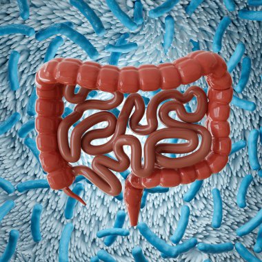 Probiyotik hücrelerin arka planında insan bağırsağı var. Sindirim sisteminin mikrobiyomu. 3d oluşturma