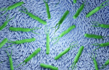 Helicobacter pillori bakteri hücreleri. Mide iltihabı. 3d oluşturma