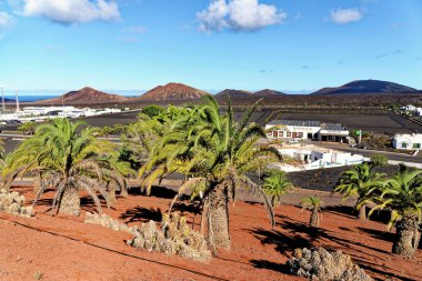 Orzola 'dan Playa Blanca' ya Doğa Yolu - Haria, Lanzarote, Kanarya Adaları, İspanya