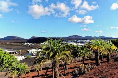 Orzola 'dan Playa Blanca' ya Doğa Yolu - Haria, Lanzarote, Kanarya Adaları, İspanya
