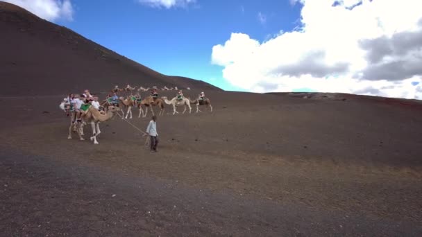 Camellos Montados Terreno Volcánico Parque Nacional Timanfaya Lanzarote Septiembre 2022 — Vídeo de stock