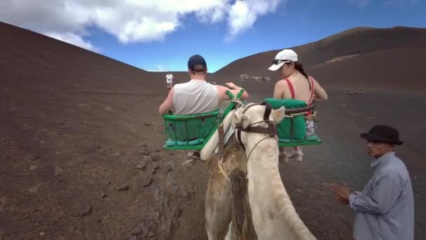 Camellos Montados Terreno Volcánico Parque Nacional Timanfaya Lanzarote Septiembre 2022 — Vídeos de Stock