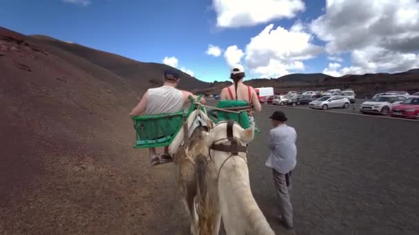 Kamelreiten Vulkanischem Gelände Nationalpark Timanfaya Lanzarote Spanien September 2022 — Stockvideo