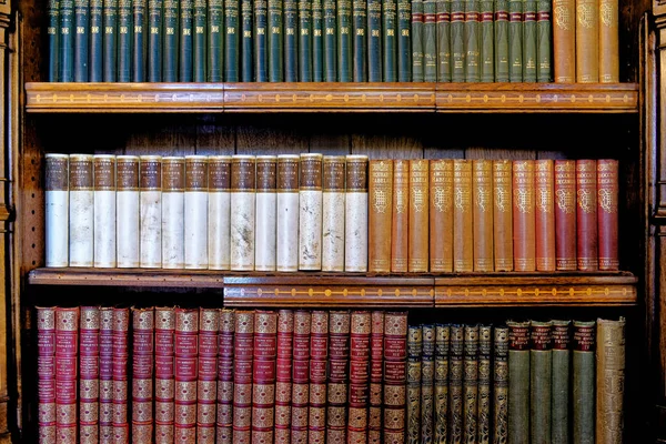 Книги Бібліотеці Бібліотека Спроектована Вікторіанським Архітектором Дизайнером Вільямом Бергесом Кардіффським — стокове фото