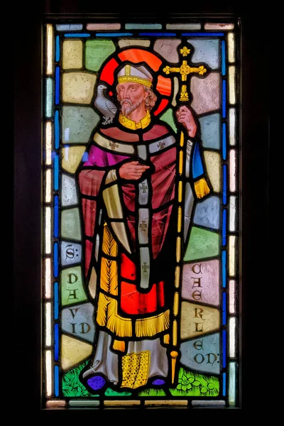 Стеклянное Окно Святого Давида Кастелл Кох Замок Кох Красный Замок — стоковое фото