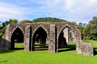 Margam Country Park 'taki Manastır Kilisesi' nin kalıntıları. Margam Country Park, Margam, Port Talbot, Güney Galler, Birleşik Krallık - 15 Ekim 2022