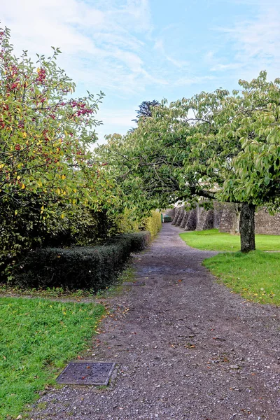 Сад Сільських Парків Маргама Margam Country Park Margam Port Talbot — стокове фото