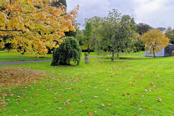 マルガム国立公園庭園 マルガムカントリーパーク マルガム ポートタルボット 南ウェールズ イギリス 2022年10月15日 — ストック写真