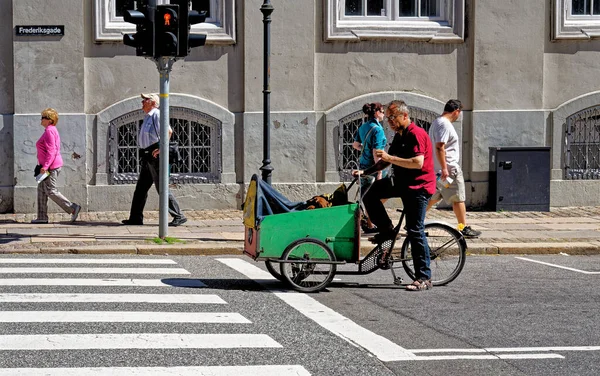 Hombre Danés Con Perros Montando Una Bicicleta Carga Una Carretera — Foto de Stock